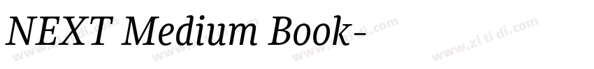 NEXT Medium Book字体转换
